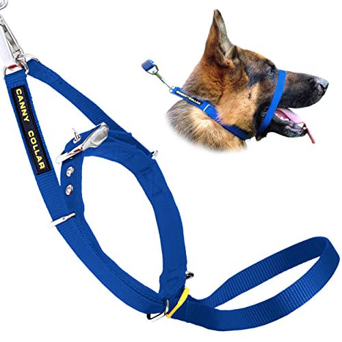 Canny Collar Hundehalsband, einfache und effektive Hilfe beim Hundetraining und verhindert das Ziehen von Hunden - Blau