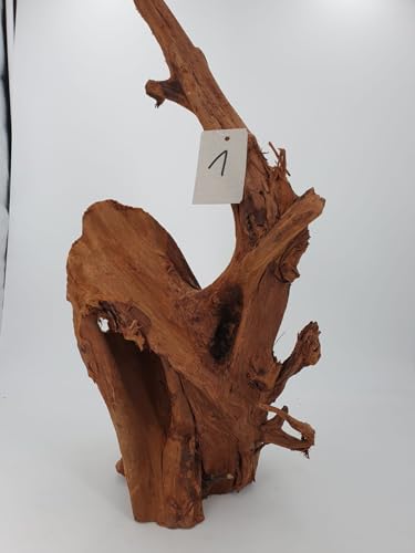 Mangrovenwurzel Traumwurzel Aquarium oder Deko wählen Sie Ihr Einzelstück selbst (Nr.1 Größe 60x25cm)