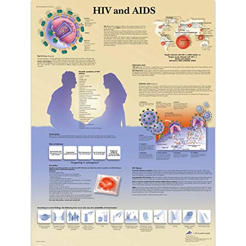 3B Scientific Lehrtaffel laminiert - HIV and AIDS - Englisch