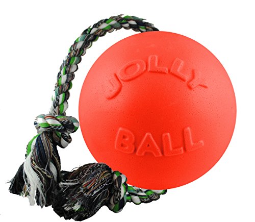 Jolly Pets - Ball Romp-n-Roll 10cm Orange (Vanilla Smell) - (JOLL049C)