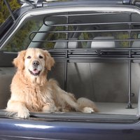 TRIXIE Hunde-Autogitter verstellbare Breite und Höhe