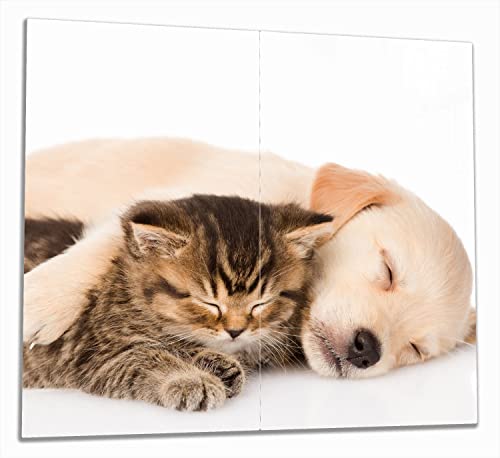 Wallario Herdabdeckplatte/Spritzschutz aus Glas, 2-teilig, 60x52cm, für Ceran- und Induktionsherde, Katze und Hund in Harmonie - Kuschelnde Tiere