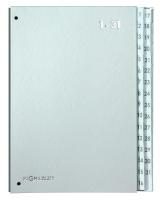 PAGNA Pultordner Silver, für DIN A4, A-Z oder 1-31, 24 oder 32 Fächer, Karton