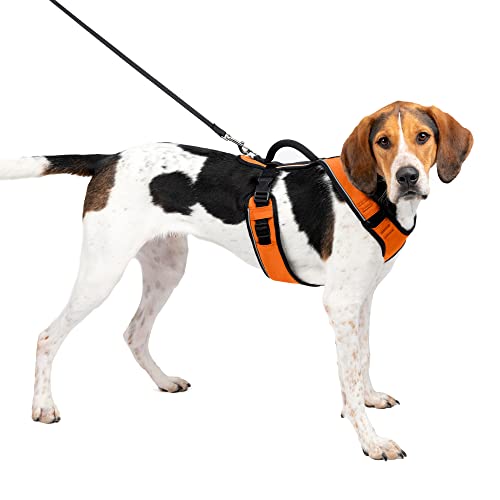 PetSafe EasySport Hundegeschirr, verstellbares, gepolstertes Hundegeschirr mit Kontrollgriff und reflektierenden Paspeln, von den Makers of The Easy Walk Geschirr Orange Groß