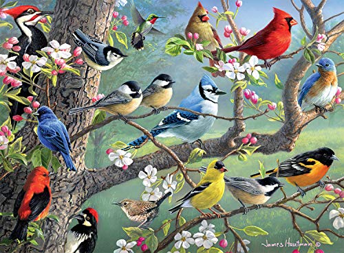Buffalo Games - Hautman Brothers - Birds in an Orchard - Puzzle 1000 Teile