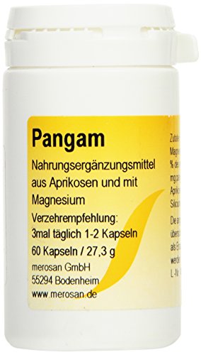 Gall Pharma Pangam Kapseln, 1er Pack (1 x 60 Stück)