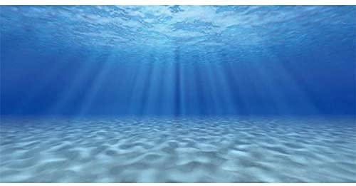 AWERT Unterwasser-Hintergrund für Aquarien, 61 x 30,5 cm