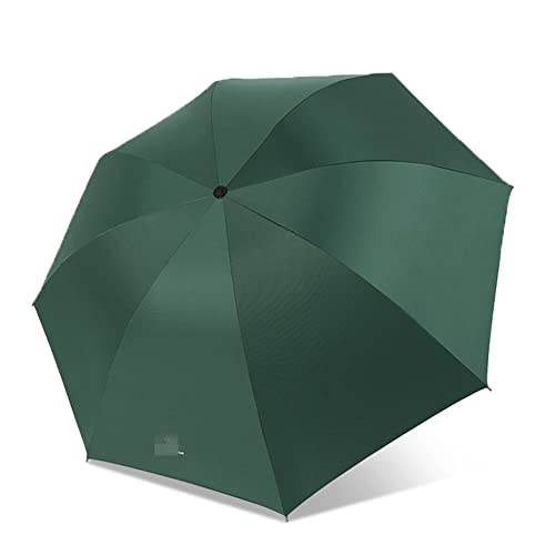 Automatischer Mini-Regenschirm, Kleiner, Strapazierfähiger, Windfester Regenschirm ? Durchmesser 98 cm, Wasserdicht, Schnell Trocknend, UV-beständig, Faltbarer Regenschirm (A/2)
