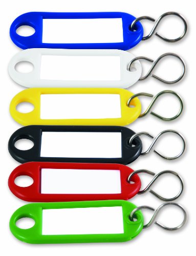 Chapuis 7122/13AS Schlüsselanhänger-Set für Etiketten, mit Haken, aus Polyethylen, verschiedene Farben, 100 Stück