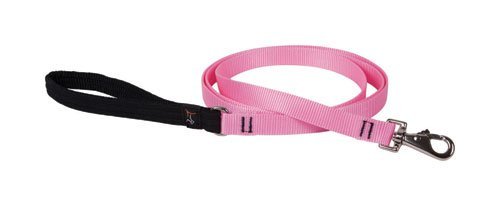 LupinePet Basics 3/10,2 cm Pink LEASHES für mittlere und größere Hunde