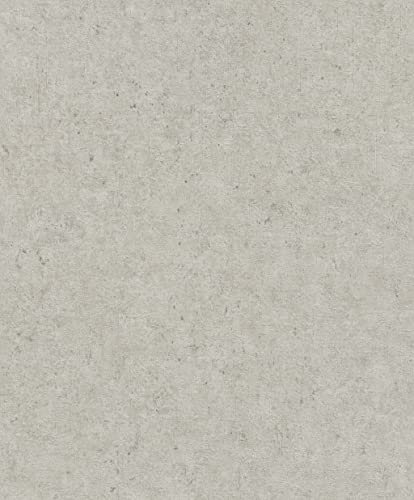 Rasch Tapete 520859 - Hellgraue Vliestapete mit Betonoptik aus der Kollektion Concrete - 10,05m x 0,53m (LxB)