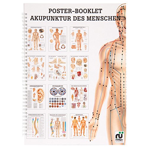 Sport-Tec Akupunktur des Menschen Mini-Poster Booklet Anatomie 34x24 cm, 12 Poster