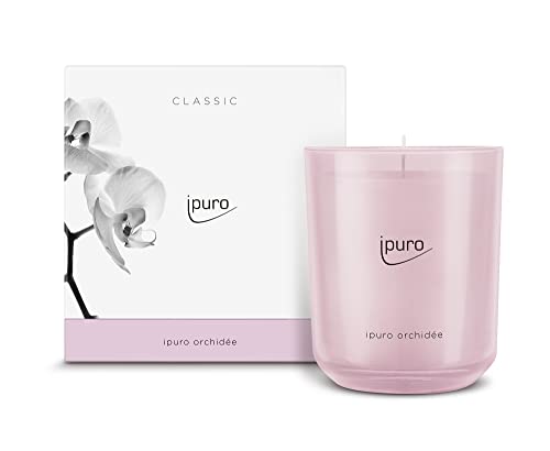 ipuro - dekorative ipuro orchidée Duftkerze - minimalistische Duftkerzen im Glas 270 g - intensive Duftkerzen mit fruchtigen Duftnoten - elegante Kerze für ein puristisches Dufterlebnis