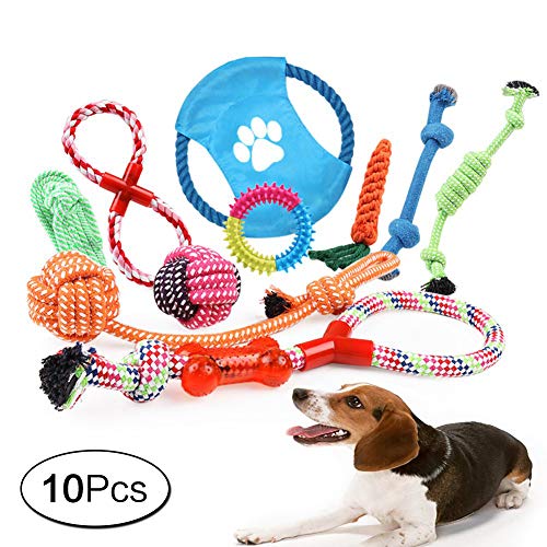 Anjing Hundespielzeug-Set aus Seil, 10 Stück