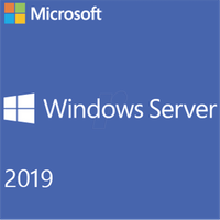 Microsoft COEM SB Win Server Cal 2019 D