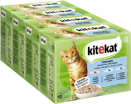 KITEKAT Portionsbeutel Multipack Fisch-Box in Gelee 4x12x85g Katzenfutter Nassfutter