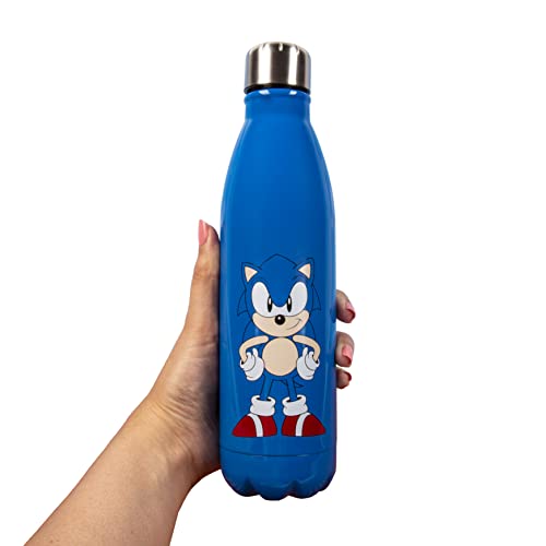 Fizz Creations - Sonic The Hedgehog Metall-Wasserflasche | Trinkflasche Kinder auslaufsicher | Flasche ca. 500ml | Offizielles Lizenzprodukt | Geschenk für Sonic The Hedgehog Fans zu Geburtstag