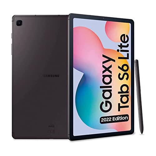 Samsung Galaxy Tab S6 Lite 2022 10,4 Zoll 4 GB/64 GB WLAN Grau (Oxford Grau) P613