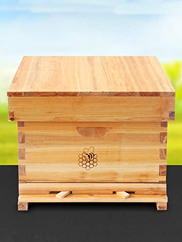 JKGHK Bienenstock Komplett Beehive Kit, Wachs beschichtet Bee Hive Inklusive Rahmen und Beeswax Beschichtete Foundation Blatt