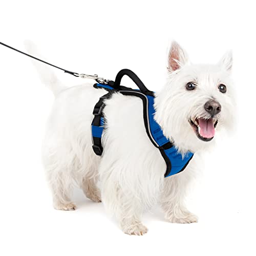 PetSafe EasySport Hundegeschirr, Komplett gepolstert mit elastischem Halsteil, Für Hunde von 9-16,5 kg, Größe S, Blau