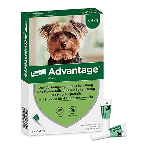 Advantage 40 Lösung für Hunde bis 4 kg