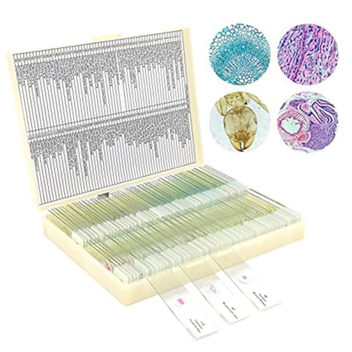 Epodmalx Mikroskop-Vorbereitungen mit Kinderproben, Objektträger für Mikrobiologie von Erwachsenen und Kindern, 100 Stück