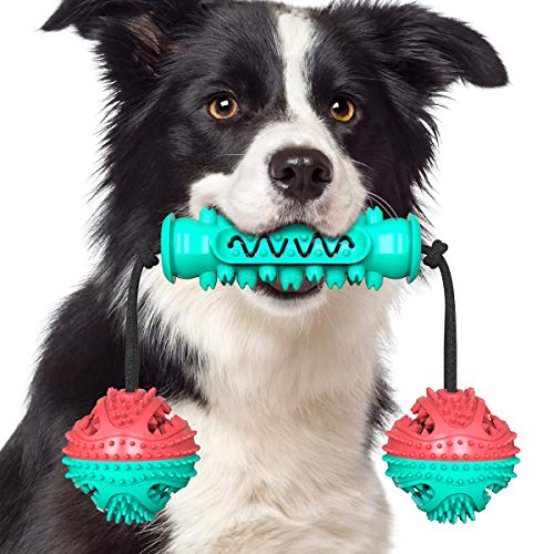 NW Pet Dog Zahnspielzeug-Set, Hantel, Molar Ball, Kauspielzeug, saubere Zähne, Zahngesundheit, lindert Angsttraining, Agilität, Lebensmittelspender, Tauziehen, Haustierprodukt, Hundespielzeug (A, Türkis)