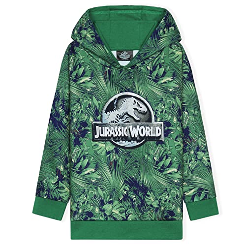 Jurassic World Kapuzenpullover Kinder Jungen und Mädchen Dinosaurier Hoodie Teenager (13-14 Jahre, Grün)