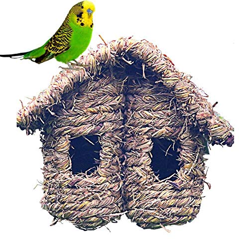 ZANGAO Vogel-Haus-Doppelschrägdach Stroh Gras Woven verrottungsfest Vogel-Nest-Schutz for Humming Wren Sparrow Swallow (Color : Natural)