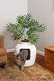 Good Pet Stuff Original versteckte Katzentoilette mit künstlicher Pflanze und geschlossenem Katzenklo, belüftet und mit Geruchsfilter, leicht zu reinigen, Birke-Weiß