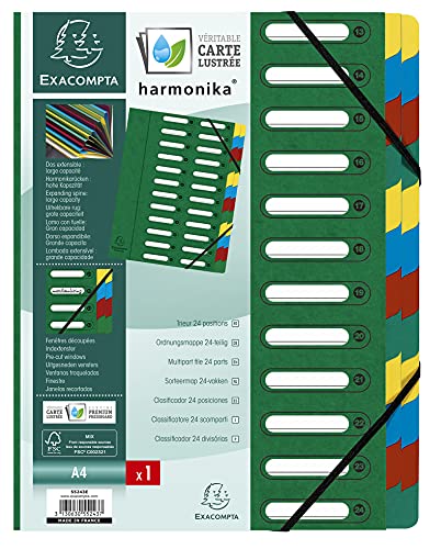 Exacompta 55243E Ordnungsmappe (Harmonika, DIN A4, 24 Fächer, Manila-Karton, Gummizug, Indexfenster) 1 Stück grün