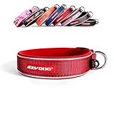 EzyDog Hundehalsband für Große, Mittelgroße, Mittlere & Kleine Hunde - Halsband Hund Neopren Gepolstert, Wasserfest, Reflektierend (L, Rot)