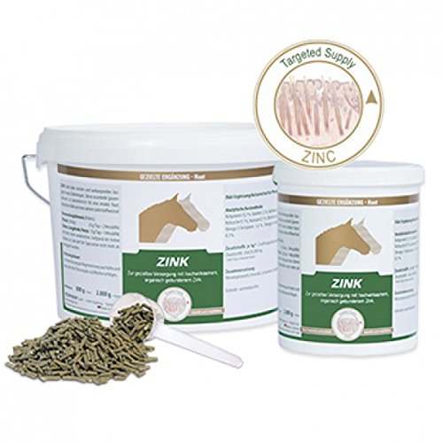 Equipower Zink 800 g