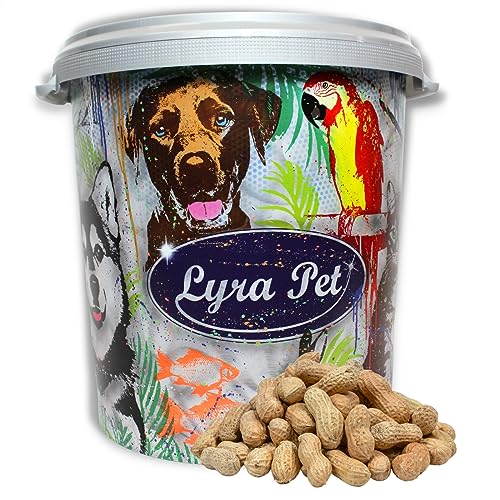 Lyra Pet® 10 kg Erdnusskerne in Schote Vogelfutter Wildvögel Vögel + 30 L Tonne