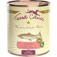 Terra Canis Dog classic Lachs |12 x 800g Dose Hundenassfutter