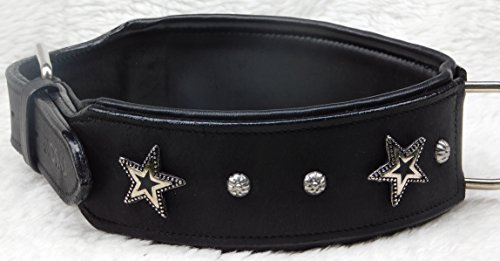 Star Leder Halsband Lederhalsband Breit Hunde Halsband Sterne u Nieten Schwarz unterlegt Tyson M L oder XL (M)