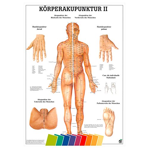 Körperakupunktur II Lehrtafel Anatomie 100x70 cm medizinische Lehrmittel