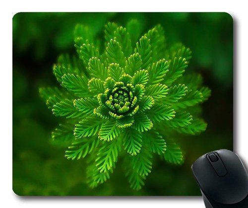 (Precision Lock Edge Mouse Pad) Water Plant Green Fine Layers Abstract Gaming Mouse Pad Mouse Mat for Mac or Computer