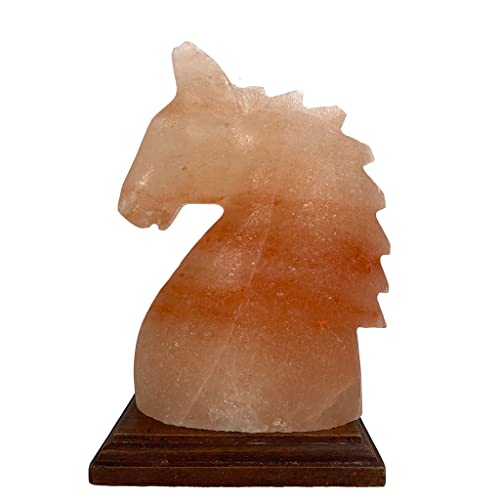 SudoreWell® Salzkristall Lampe Salzlampe 'Pferd' aus der Salt Range Pakistan
