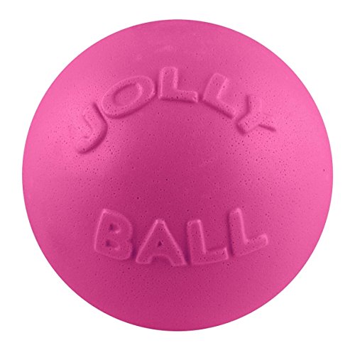 Jolly Pets Bounce-n-Play Jolly Ball (20cm) (Pink)