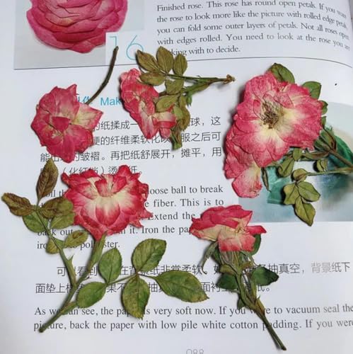12 Teile/los Getrocknete Blumen Natürliche Gepresste Große Rose Pflanzen Für Epoxidharz Anhänger Schmuck Machen Handwerk DIY Nail Art Zubehör-Rosa