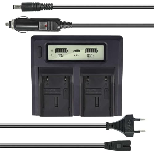 Dual Akku-Ladegerät kompatibel mit JVC BN-V408U, BN-V416U, BN-V428U - mit USB-Anschluss, LCD-Display und Kfz-Ladekabel - Schnellladegerät