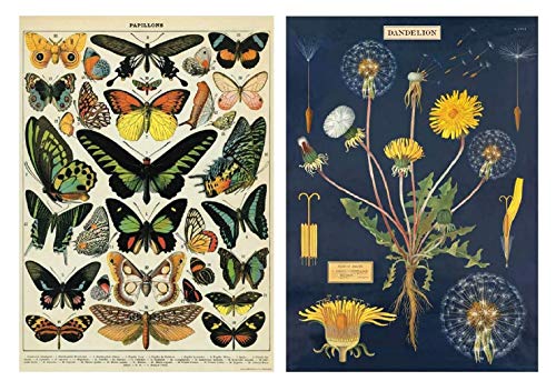Cavallini Wrap – Schmetterlinge & Pusteblume – 2 x Poster-Set – 50 x 71 cm