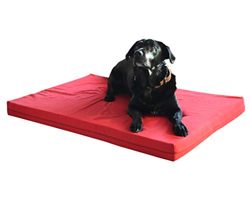 Hundebett BionaComfort mit Viscoschaum (PU/Vollschutz schwarz, 80 x 60 x 8 cm)