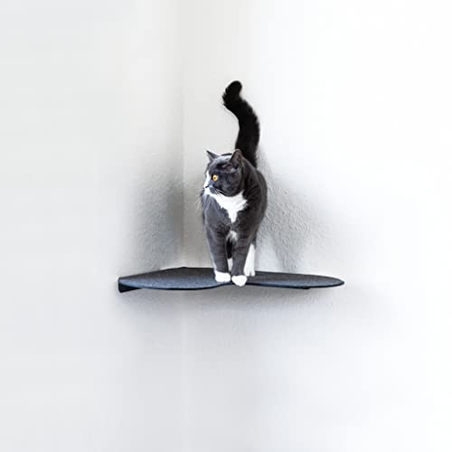 LucyBalu® Katzen Wandliege mit Filzauflage für Ecken | Katzenliege für Wandecke | Katzen Wand Liegeplatz | Katzenmöbel für Katzen Kletterwand | Katzenregal | Katzenbett für die Wandecke | Anthrazit