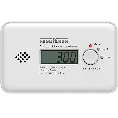 Kohlenmonoxid-Melder, 10 Jahre Batterie Kohlenmonoxid-Alarm, CO Alarm mit LCD-Display und Test-/Silence-Taste