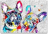 DIY 5D Diamant Malerei Vollbohrer Kit,Graffiti-Französische Bulldogge 5D Diamond Painting Set,Malen nach Zahlen Diamant,Diamond Painting Bilder für Erwachsene Kinder,Basteln Wand Decor 40x50cm