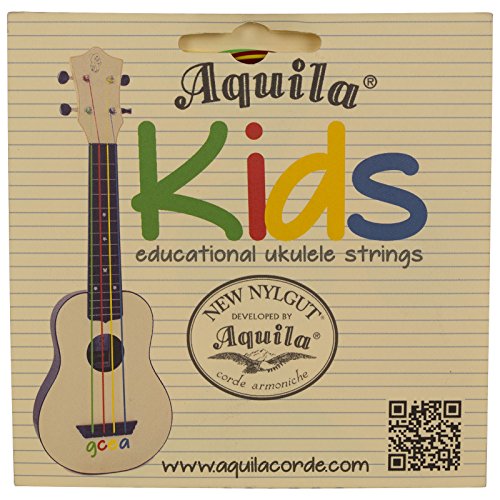 Aquila aq-138 gut Akustik Gitarre Saiten, Custom