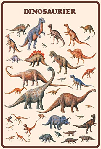 Ontrada Holzschild 30x40cm Dinosaurier der Urzeit Dinos Holz Schild