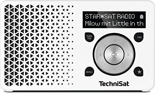 TechniSat Digitradio 1 tragbares DAB Radio mit Akku (DAB+, UKW, FM, Lautsprecher, Kopfhörer-Anschluss, Favoritenspeicher, OLED-Display, klein, 1 Watt RMS) weiß/silber